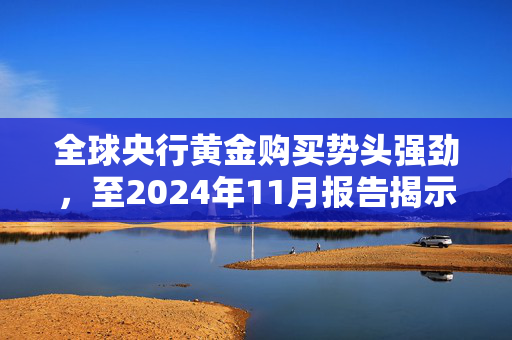 全球央行黄金购买势头强劲，至2024年11月报告揭示积极趋势