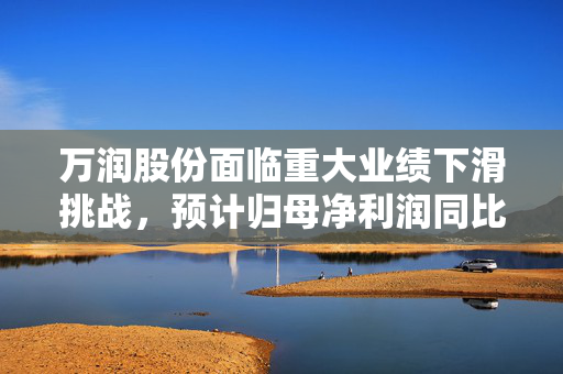 万润股份面临重大业绩下滑挑战，预计归母净利润同比降低65%-75%