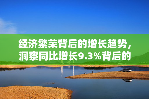 经济繁荣背后的增长趋势，洞察同比增长9.3%背后的力量