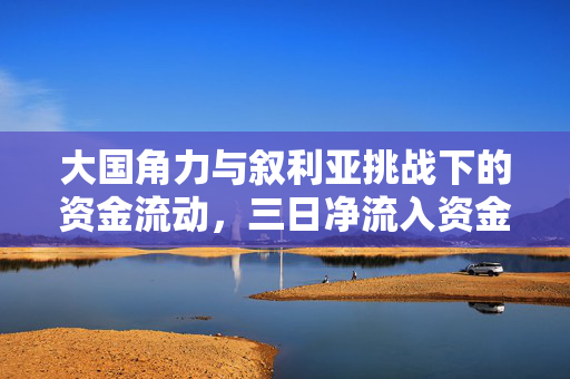 大国角力与叙利亚挑战下的资金流动，三日净流入资金达3333.96万元