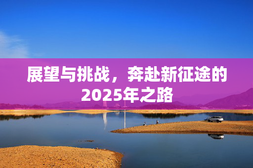 展望与挑战，奔赴新征途的2025年之路