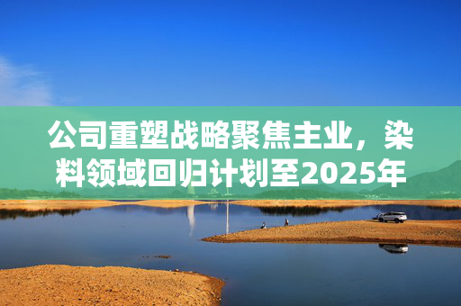 公司重塑战略聚焦主业，染料领域回归计划至2025年