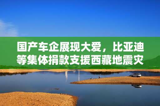 国产车企展现大爱，比亚迪等集体捐款支援西藏地震灾区，比亚迪捐赠额达千万