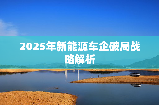 2025年新能源车企破局战略解析