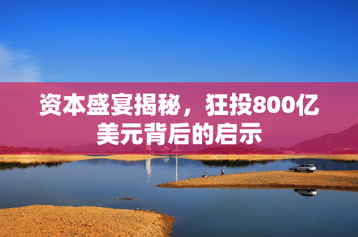 资本盛宴揭秘，狂投800亿美元背后的启示