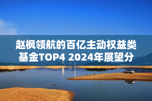 赵枫领航的百亿主动权益类基金TOP4 2024年展望分析