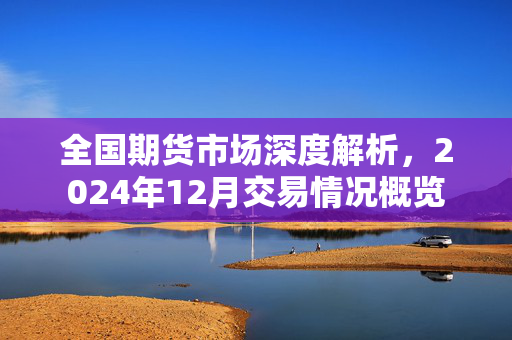 全国期货市场深度解析，2024年12月交易情况概览