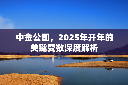 中金公司，2025年开年的关键变数深度解析