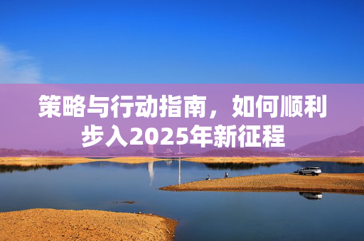 策略与行动指南，如何顺利步入2025年新征程