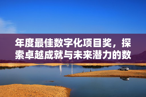 年度最佳数字化项目奖，探索卓越成就与未来潜力的数字化领域之旅