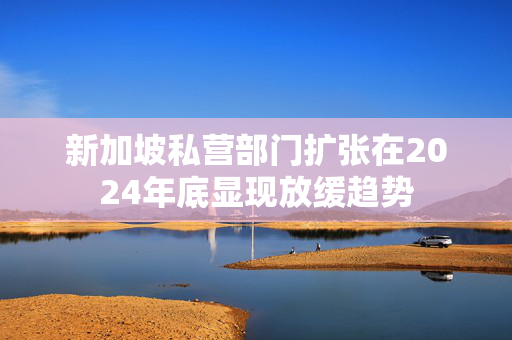 新加坡私营部门扩张在2024年底显现放缓趋势