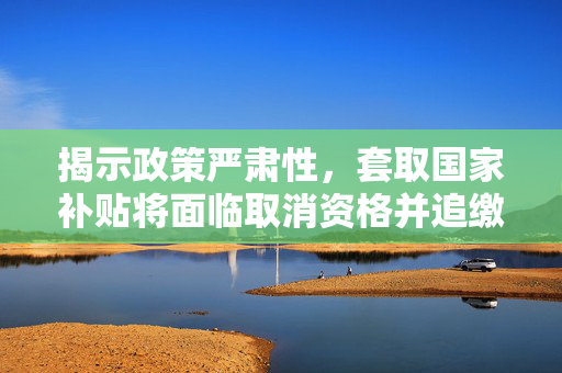 揭示政策严肃性，套取国家补贴将面临取消资格并追缴资金的风险