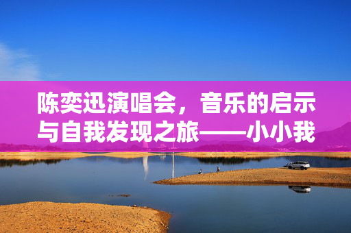 陈奕迅演唱会，音乐的启示与自我发现之旅——小小我的体验