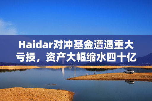 Haidar对冲基金遭遇重大亏损，资产大幅缩水四十亿美元，深度剖析