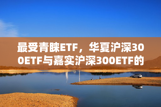 最受青睐ETF，华夏沪深300ETF与嘉实沪深300ETF的强劲表现分析