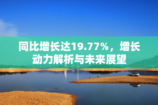 同比增长达19.77%，增长动力解析与未来展望