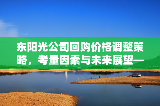 东阳光公司回购价格调整策略，考量因素与未来展望——最高不超过12元的新策略分析