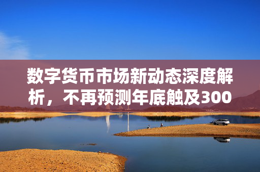 数字货币市场新动态深度解析，不再预测年底触及3000美元的未来走势