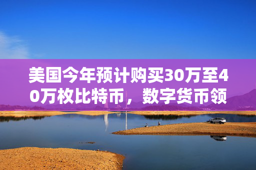 美国今年预计购买30万至40万枚比特币，数字货币领域迎新里程碑