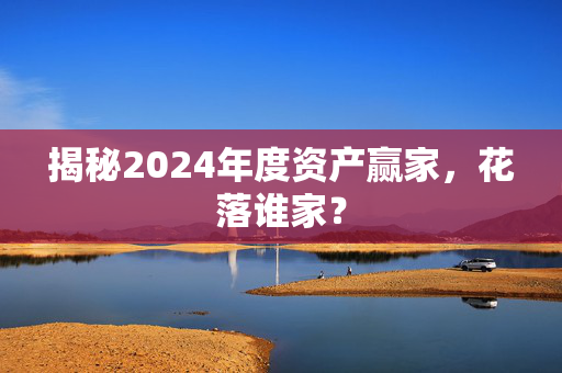 揭秘2024年度资产赢家，花落谁家？