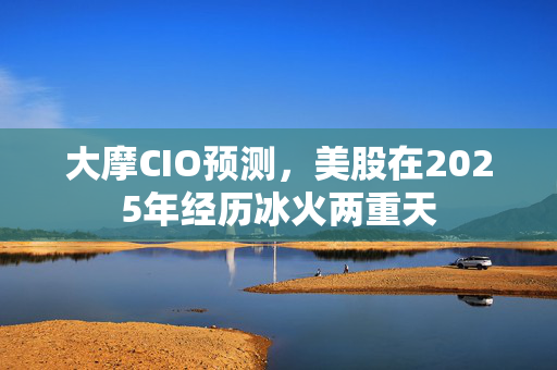 大摩CIO预测，美股在2025年经历冰火两重天