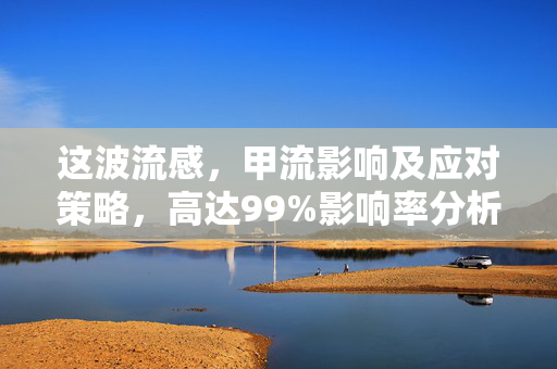 这波流感，甲流影响及应对策略，高达99%影响率分析