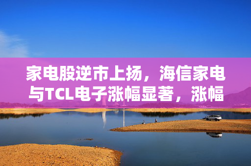 家电股逆市上扬，海信家电与TCL电子涨幅显著，涨幅逾4%和逾2%