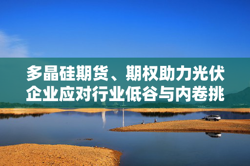 多晶硅期货、期权助力光伏企业应对行业低谷与内卷挑战策略分析