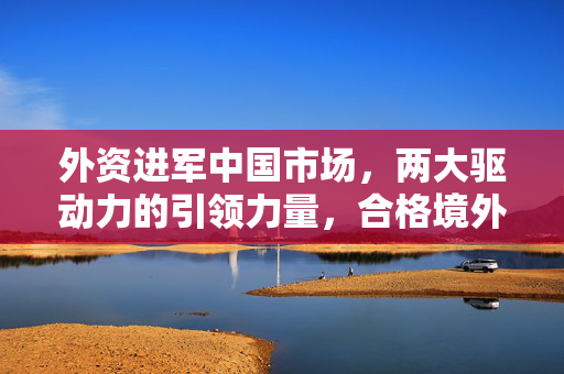 外资进军中国市场，两大驱动力的引领力量，合格境外投资者率先申报受理的两家机构亮相