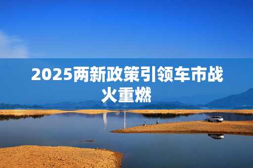 2025两新政策引领车市战火重燃