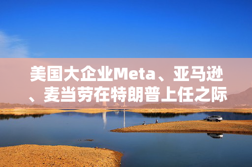 美国大企业Meta、亚马逊、麦当劳在特朗普上任之际调整战略，终止或缩减多元化项目