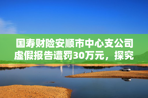 国寿财险安顺市中心支公司虚假报告遭罚30万元，探究违规行为背后原因