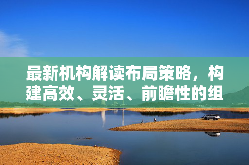 最新机构解读布局策略，构建高效、灵活、前瞻性的组织框架指南