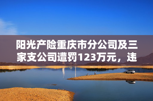 阳光产险重庆市分公司及三家支公司遭罚123万元，违规行为的警示与反思