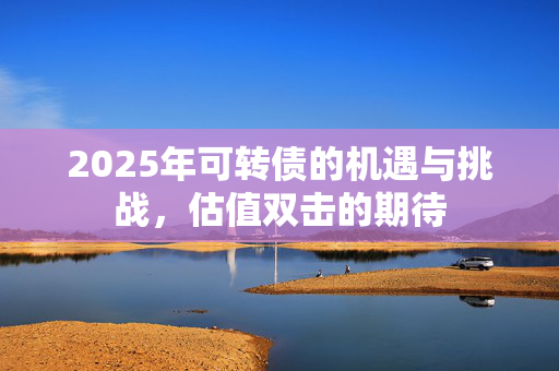 2025年可转债的机遇与挑战，估值双击的期待