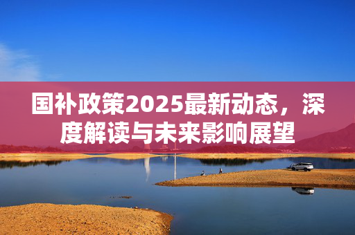 国补政策2025最新动态，深度解读与未来影响展望