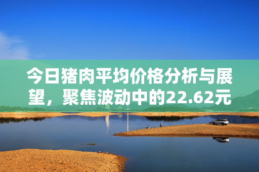 今日猪肉平均价格分析与展望，聚焦波动中的22.62元/公斤价格趋势展望