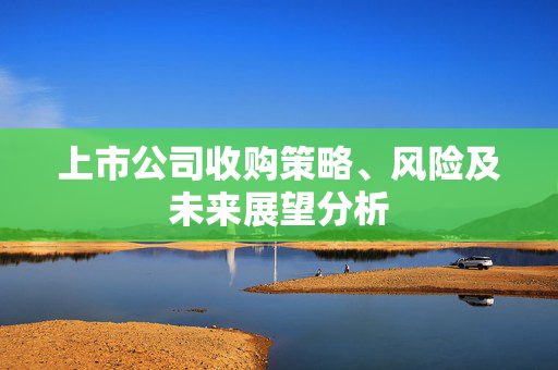 上市公司收购策略、风险及未来展望分析