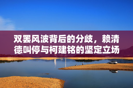 双罢风波背后的分歧，赖清德叫停与柯建铭的坚定立场