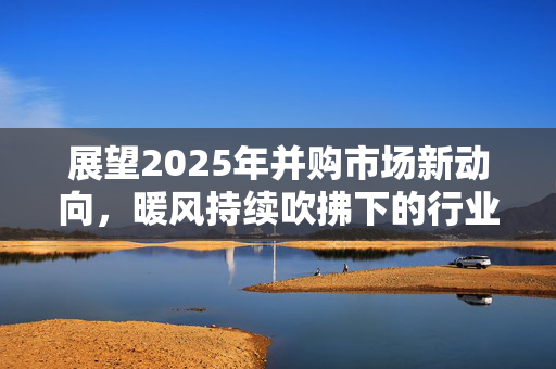 展望2025年并购市场新动向，暖风持续吹拂下的行业整合大潮