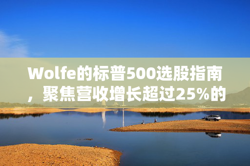 Wolfe的标普500选股指南，聚焦营收增长超过25%的15只优质成分股