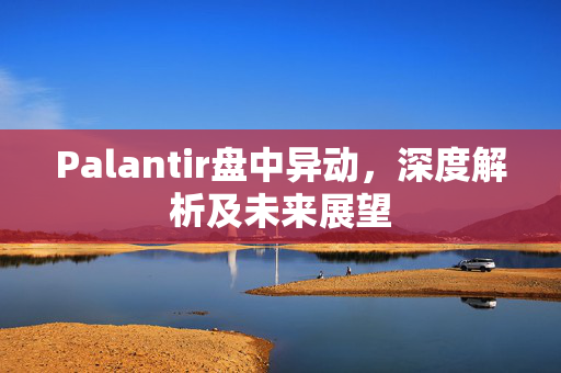 Palantir盘中异动，深度解析及未来展望