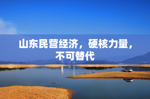 山东民营经济，硬核力量，不可替代