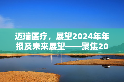 迈瑞医疗，展望2024年年报及未来展望——聚焦2025年4月29日的关键时刻