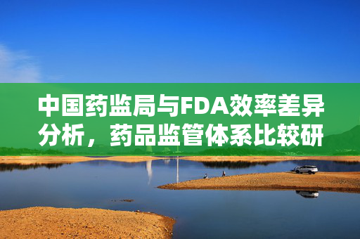 中国药监局与FDA效率差异分析，药品监管体系比较研究