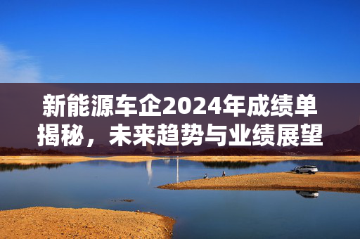 新能源车企2024年成绩单揭秘，未来趋势与业绩展望