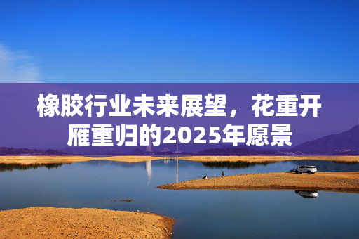 橡胶行业未来展望，花重开雁重归的2025年愿景