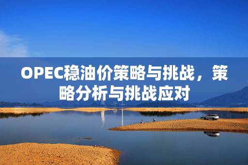 OPEC稳油价策略与挑战，策略分析与挑战应对