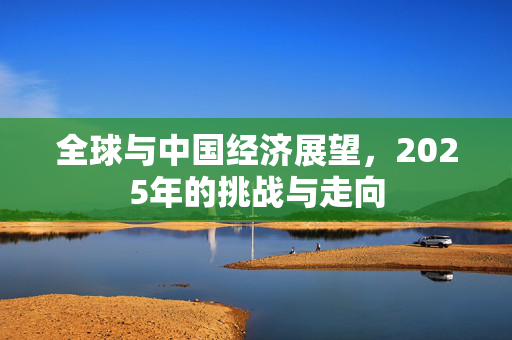 全球与中国经济展望，2025年的挑战与走向