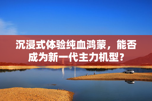 沉浸式体验纯血鸿蒙，能否成为新一代主力机型？